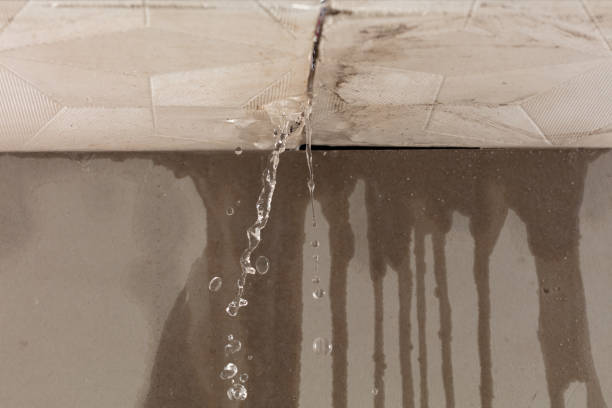 Professional Structural Drying technician working in Orangevale, CA
